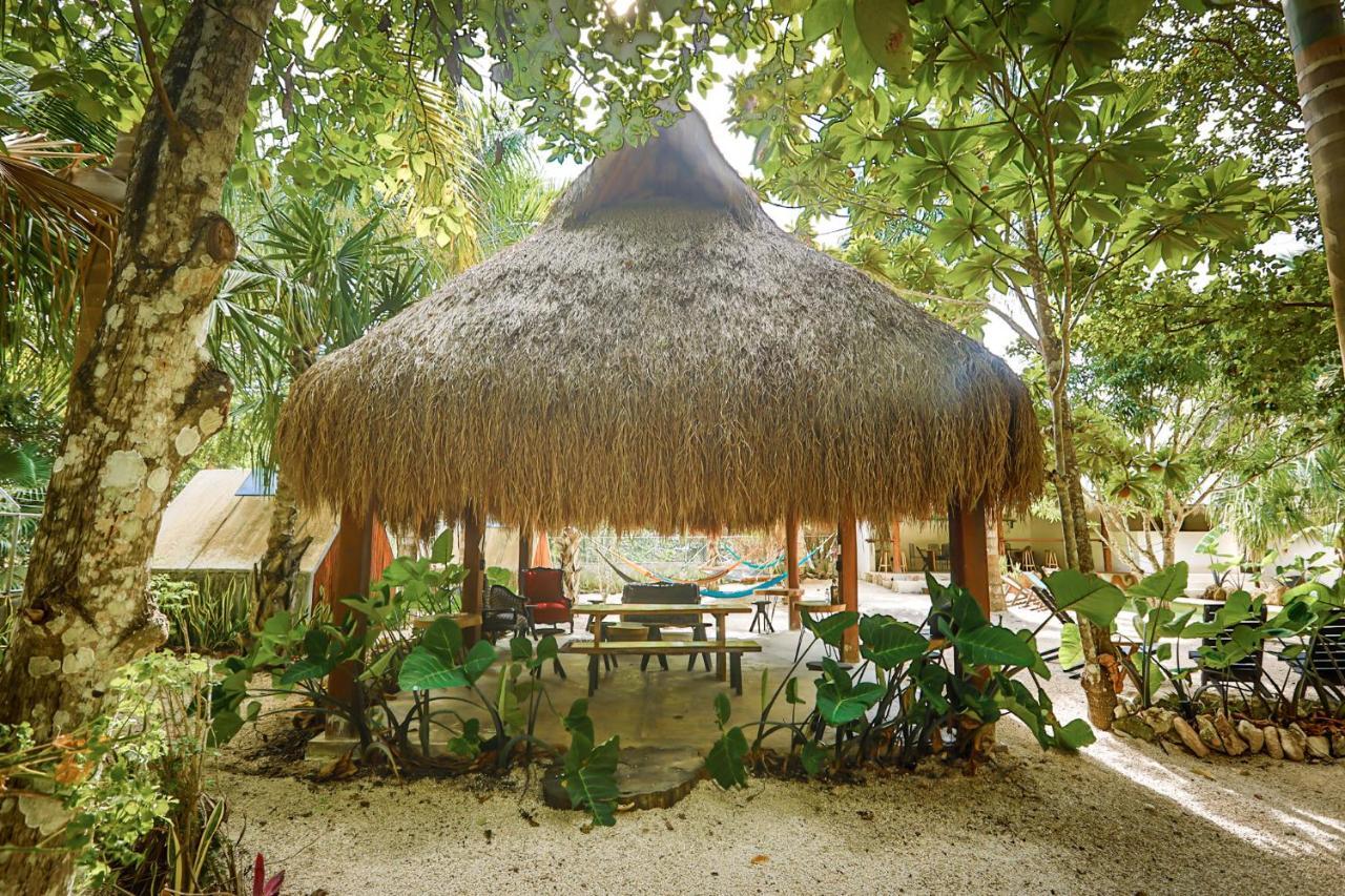 Bufo Alvarius Sanctuary Bacalar Buenavista  Екстериор снимка