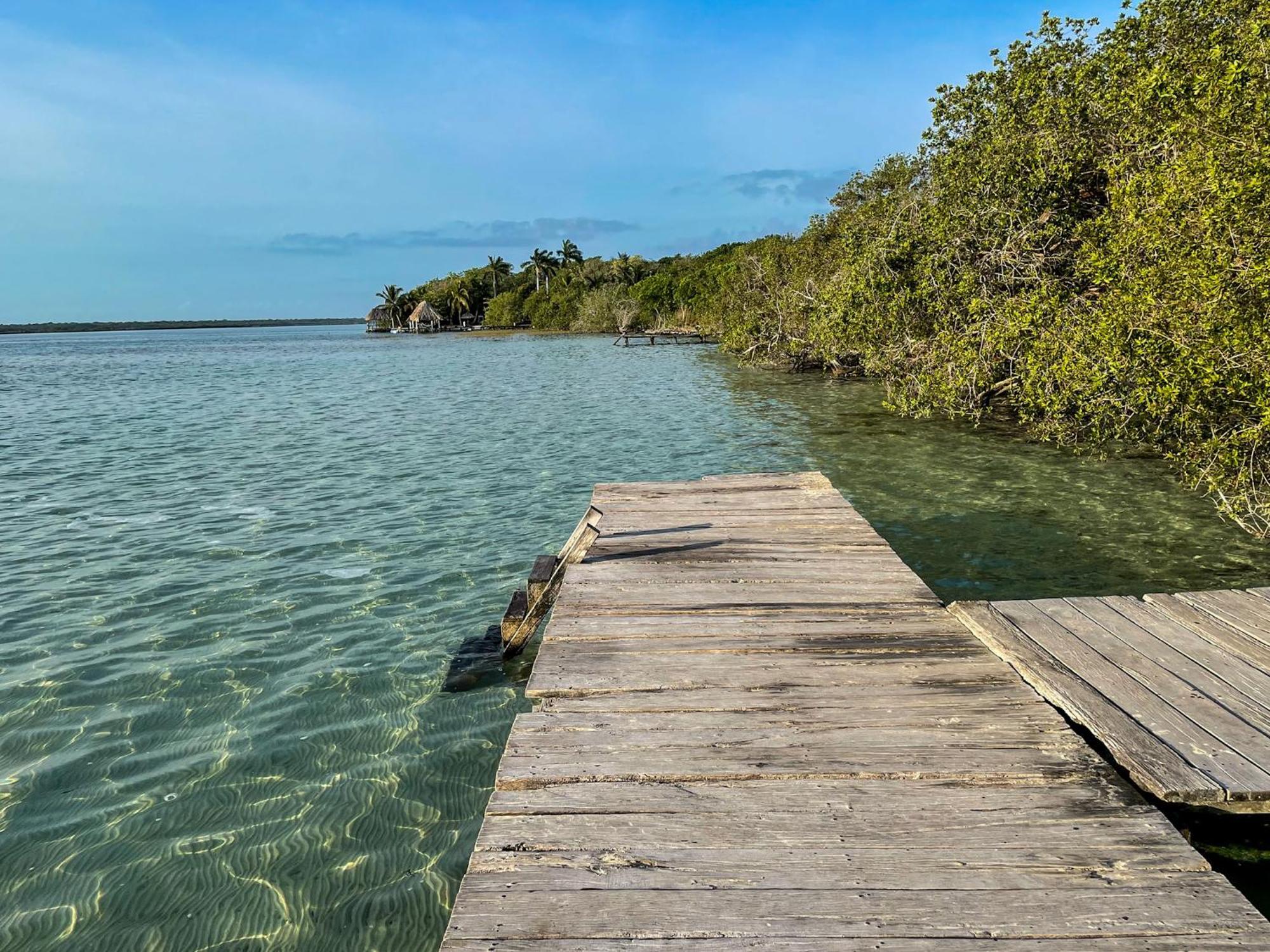 Bufo Alvarius Sanctuary Bacalar Buenavista  Екстериор снимка