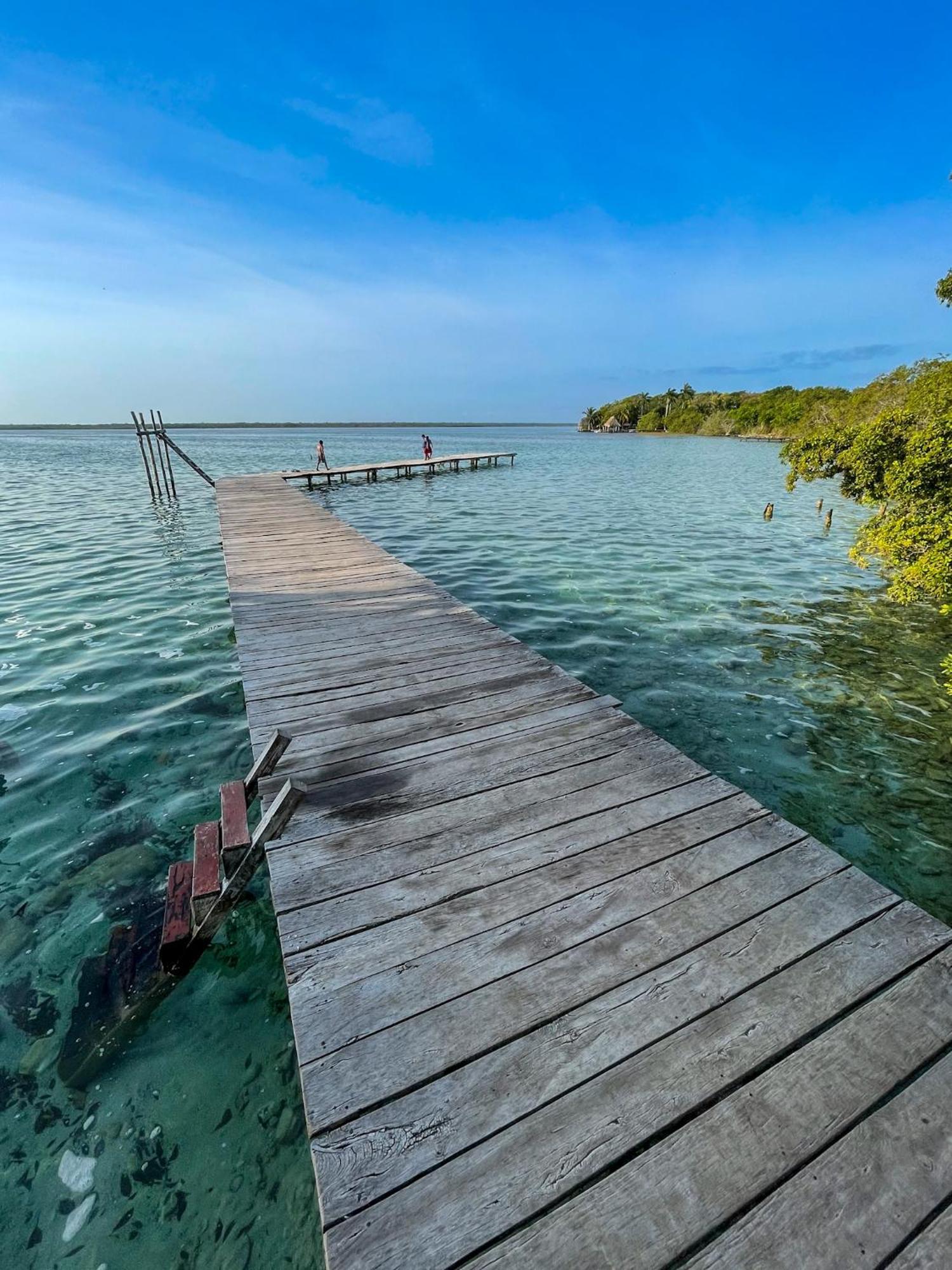 Bufo Alvarius Sanctuary Bacalar Buenavista  Екстериор снимка