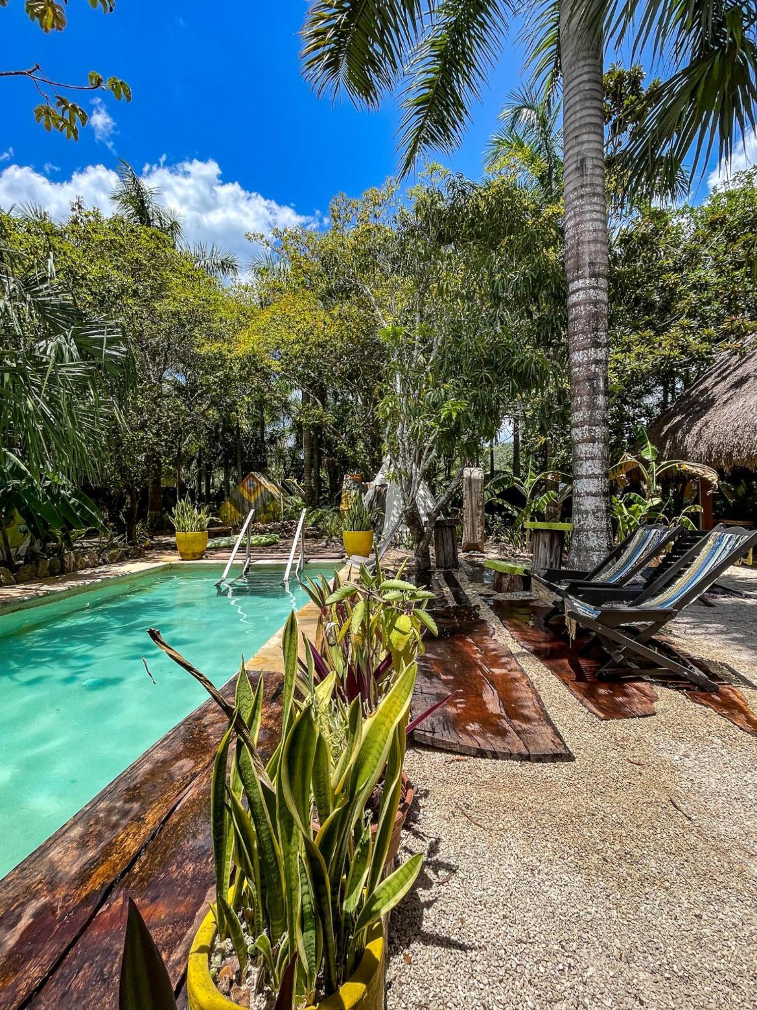 Bufo Alvarius Sanctuary Bacalar Buenavista  Екстериор снимка